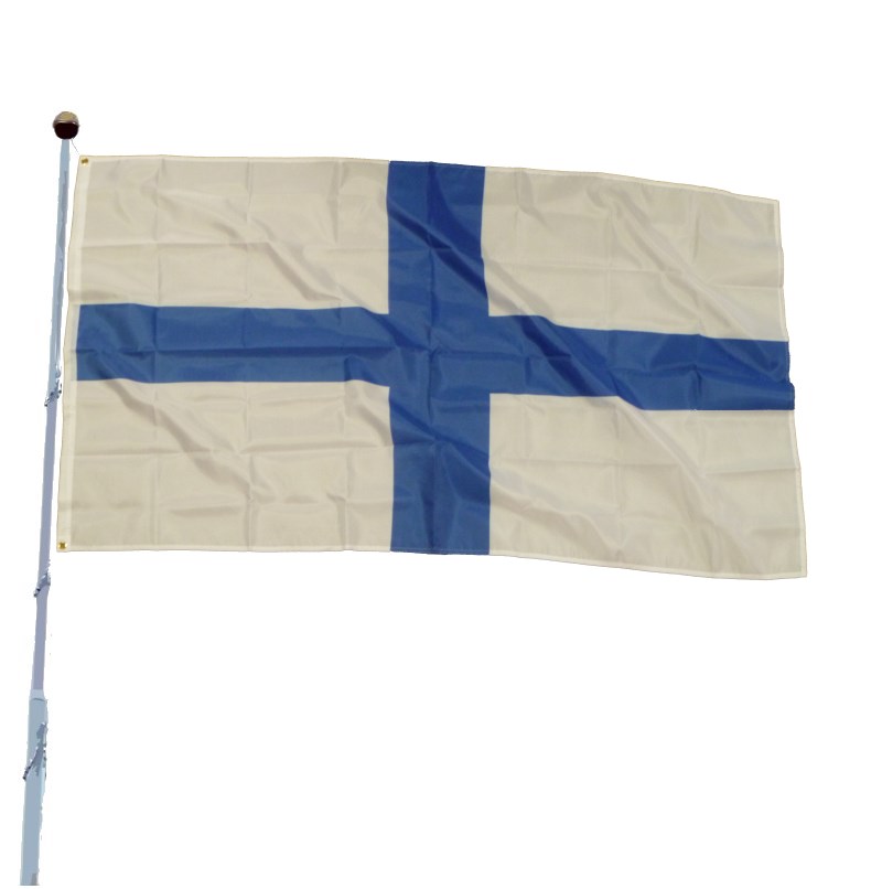 Bandeira Cruzados Galegos e Condado Portucalense