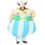 Disfrace Celta Obelix