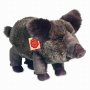 t-boar